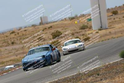 media/May-03-2025-Lucky Dog Racing (Sat) [[206de64b9d]]/Turn 6 (150pm-230pm)/